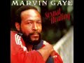 Marvin Gaye   Sexual Healing  Extended Version