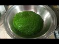 Spinach (Palak) ko Freeze krne ka Asaan Tareeka پالک کو ایک سال تک فرئیز کرنے/  کا طریقہ