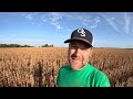 Secrets to Massive Soybean Yield (Part 2)