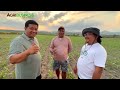 Ordinary pero Experienced Farmer naman: Practical Tips nya para sa Successful Corn Farming