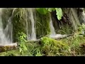 Park Narodowy Jezior Plitwickich i pięknych wodospadów