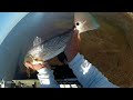 Mosquito Lagoon Redfish on DOA Lures GO PRO HD