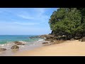 Golden Beach Retreat 🌴 Relaxing Waves for a Peaceful Sleep 🌊 ASMR Nature Sounds [4K]