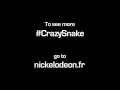 Crazy Snake