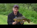 Tench Fishing - Specimen Series - Tench On The Float