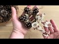 Natural Pinecone Wreath (@craftfairies)