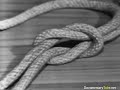 The Best Guide to Rope Skills