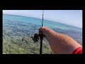 Doble jornada de pesca en un entorno de lujo. Bolonia a SPINNING