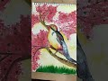 A beautiful bird setting on cherry blossom tree # colourfu bird,# cherry blossom tree
