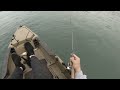 Fall jigging for Detroit River Walleye- Catch and cook