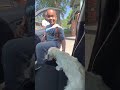 Carpool. A kid and his dog.