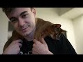 Bengal cat and Abyssinian kitten become BEST FRIENDS in a few days | Ep 22