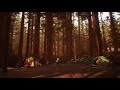 Life is Strange 2 │ ASMR / Sleep Aid │ Redwood forest camp ambience