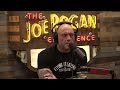 Joe Rogan Experience #2008 - Stephen C Meyer