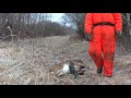 2012 Minnesota Deer Hunt (last day) 2nd deer 6 point vid two of four