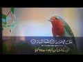 Qurani Ayat#RakshandaAbdullah#columnwriter#images#nature#ytshortsandvideos#
