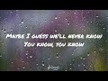 Lewis Capaldi - BEFORE YOU GO (lyrics)