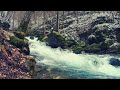 1 hour Relaxing Sleep Sounds (very effective) Flowing River Sounds for Sleep, Fall Asleep Fast
