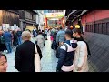 Foreign tourists fall in love with geisha and maiko! Gion, Kyoto, Japan.  Geisha and maiko mecca!