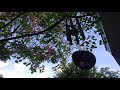 Chuông Mộc Tiên Elf Windchimes