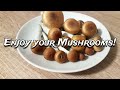 How to Grow Mushrooms from Start to Finish with a Magic Grow Kit - The Easiest Way to Grow Shrooms