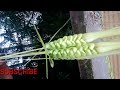 How to make palm flowers (coconut tree leaf)