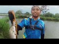 Super Bejo..!! Padahal Mancing Asal Lempar,Malah Nemu Titik Kumpul Kakap Putih/Barramundi Di Tambak