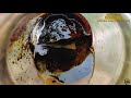 How to make birch oil from birch bark, a lot and for free #2