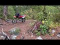 nanaimo river bridge camp spot