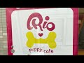 Visiting Japan's Dog Cafe🐶 | puppy cafe Rio