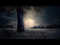 ⭐ Sleeping music, relaxing sleep music, sleep meditation, background music, soft music ⭐