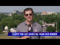 Cat saves man's life after fall