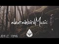 Dark Forest 🦇 - An Indie/Folk/Alternative Playlist (Halloween 2017)
