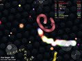 Me dying in Slither.io