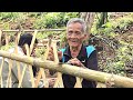 Helping the Family Finish the Bamboo Fence: Tuấn's Special Treat for His Two Grandpas