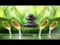 Relaxing music with the sound of nature Bamboo Water Fountain 2021 #2