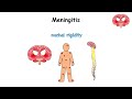 Every PAINFUL Disease Explained in 16 Minutes