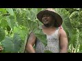 SAMOA ENTERTAINMENT - FO'I LE TAMA FARMER (EPISODE # 1) Invite friends & Family to Subscribe