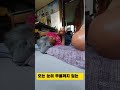 안동역에서 엄마에게 선사#어머님 #안동역에서