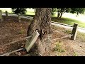 Cape Charles, Virginia. Small, old graveyard. Mid 1800's to early 1900's