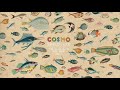 Cosmo Sheldrake - Come Along (Instrumental)