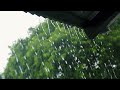 RAIN ON A TIN ROOF | CALMING VIDEO