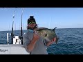 Fishing In A Sea Of Sargassum 60 Miles Offshore When I Hooked THIS!