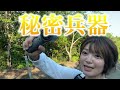 【バイク女子】絶景を求めて行った先には...もう無理！〇〇に出くわす