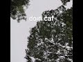 doin cat