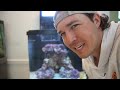 Finding SEA CREATURES In Beach SEAWEED For My Strange SALTWATER ANGLER FISH!