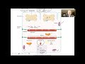 Introduction to the muscular system video 1