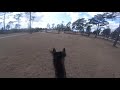 Stable View Eventing Academy XC 2021