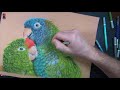 Time Lapse Art drawing: parrots