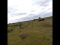 First FPV quad race, kind of.